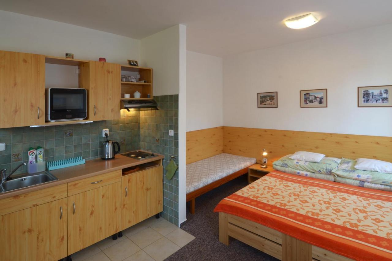 Apartman 300 Janské Lázně Eksteriør billede